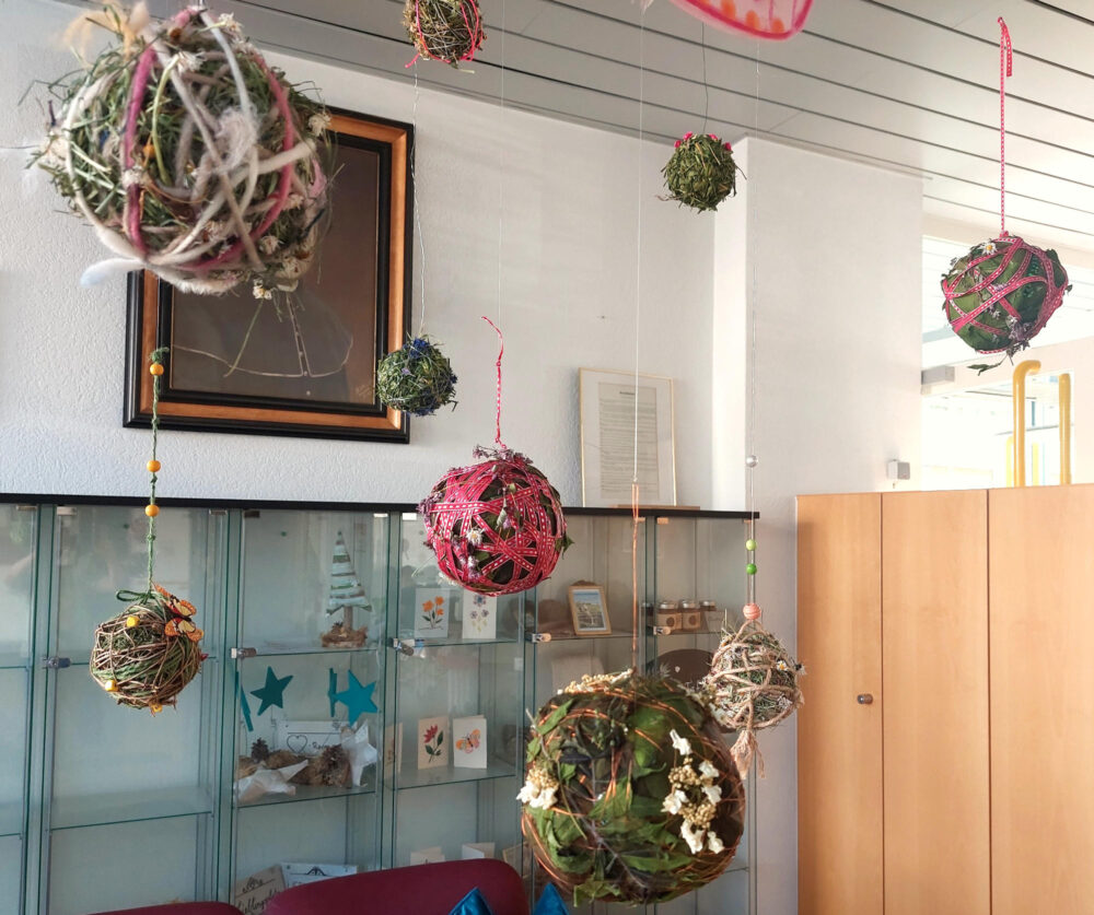 Grasbaellchen nah WS