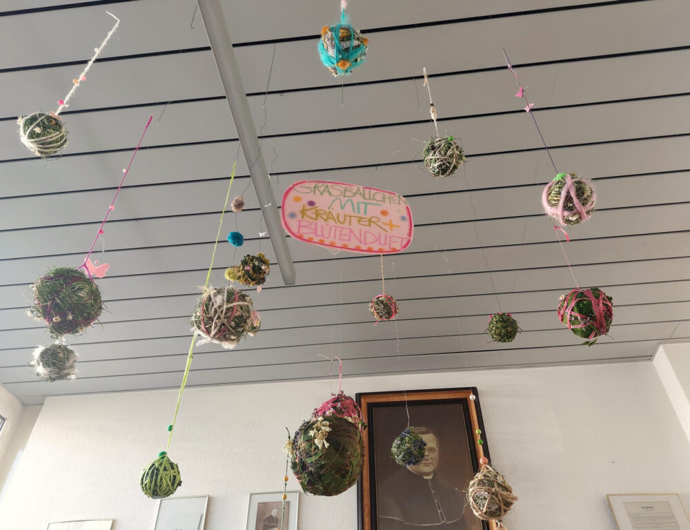 von unten Grasbaellchen fuer WS