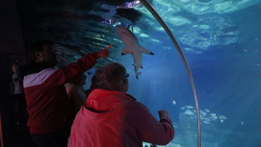 Sea Life Speyer ED 2