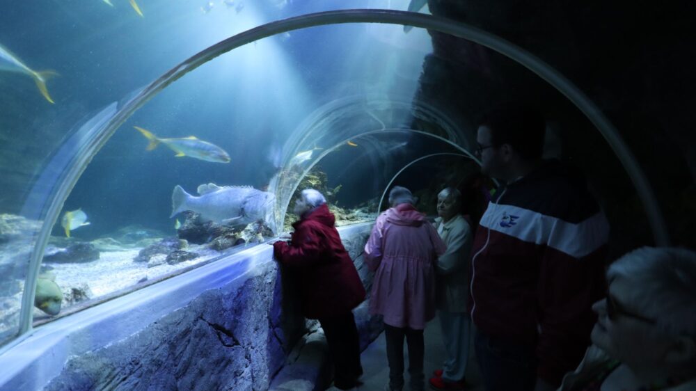 Sea Life Speyer ED 3