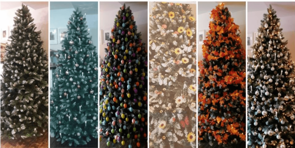 verschiedene Jahresbaeume Collage